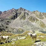 Casa vacanze Jagd - By Interhome Sölden